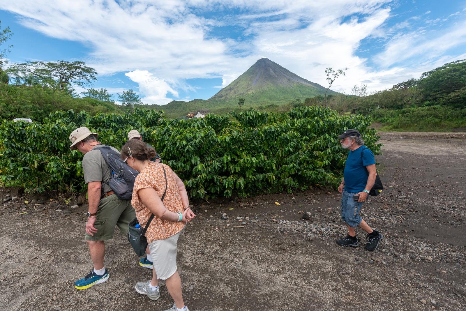 Arenal Volcano Hike 4