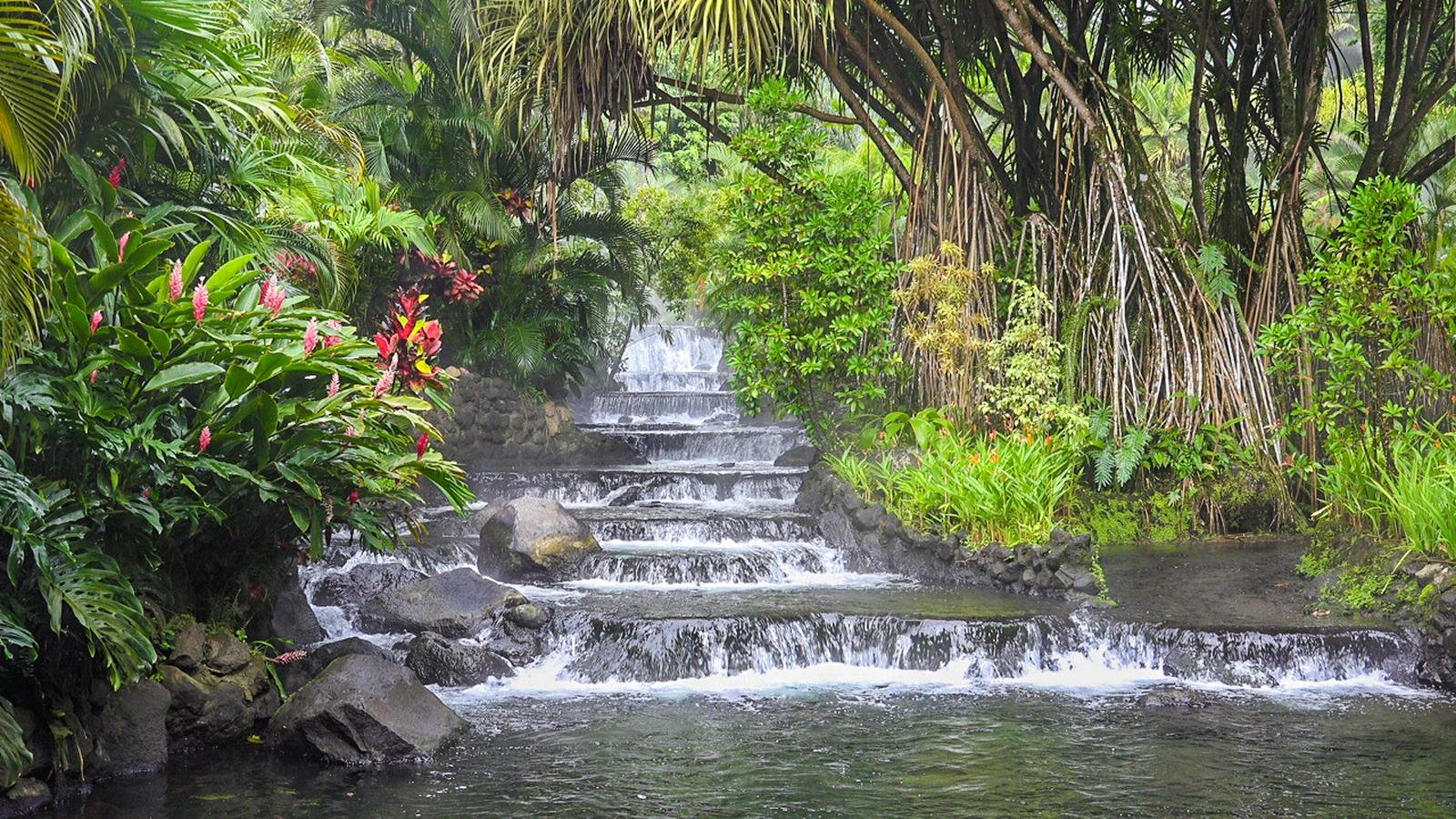 Tabacon combo photo 2