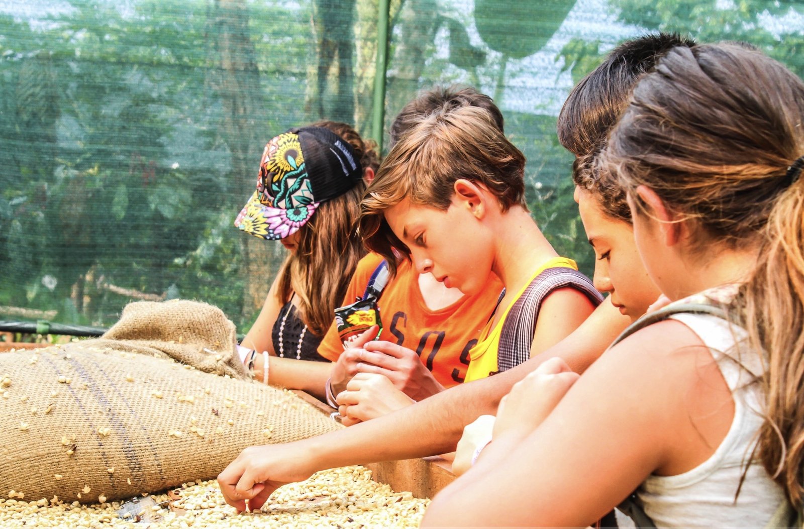 Arenal Chocolate Tour 2