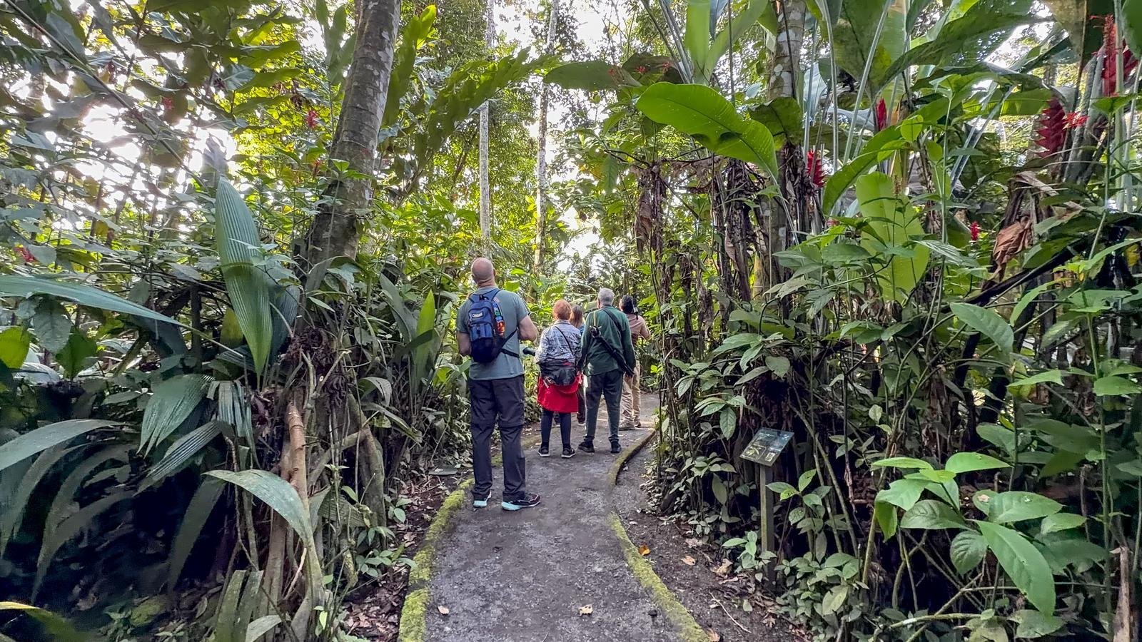 Hanging Bridges Arenal