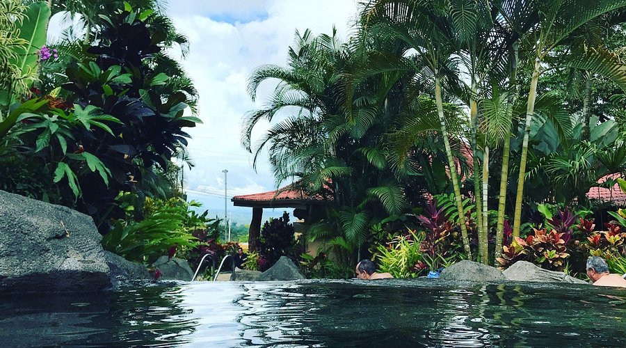 Titoku Gardens