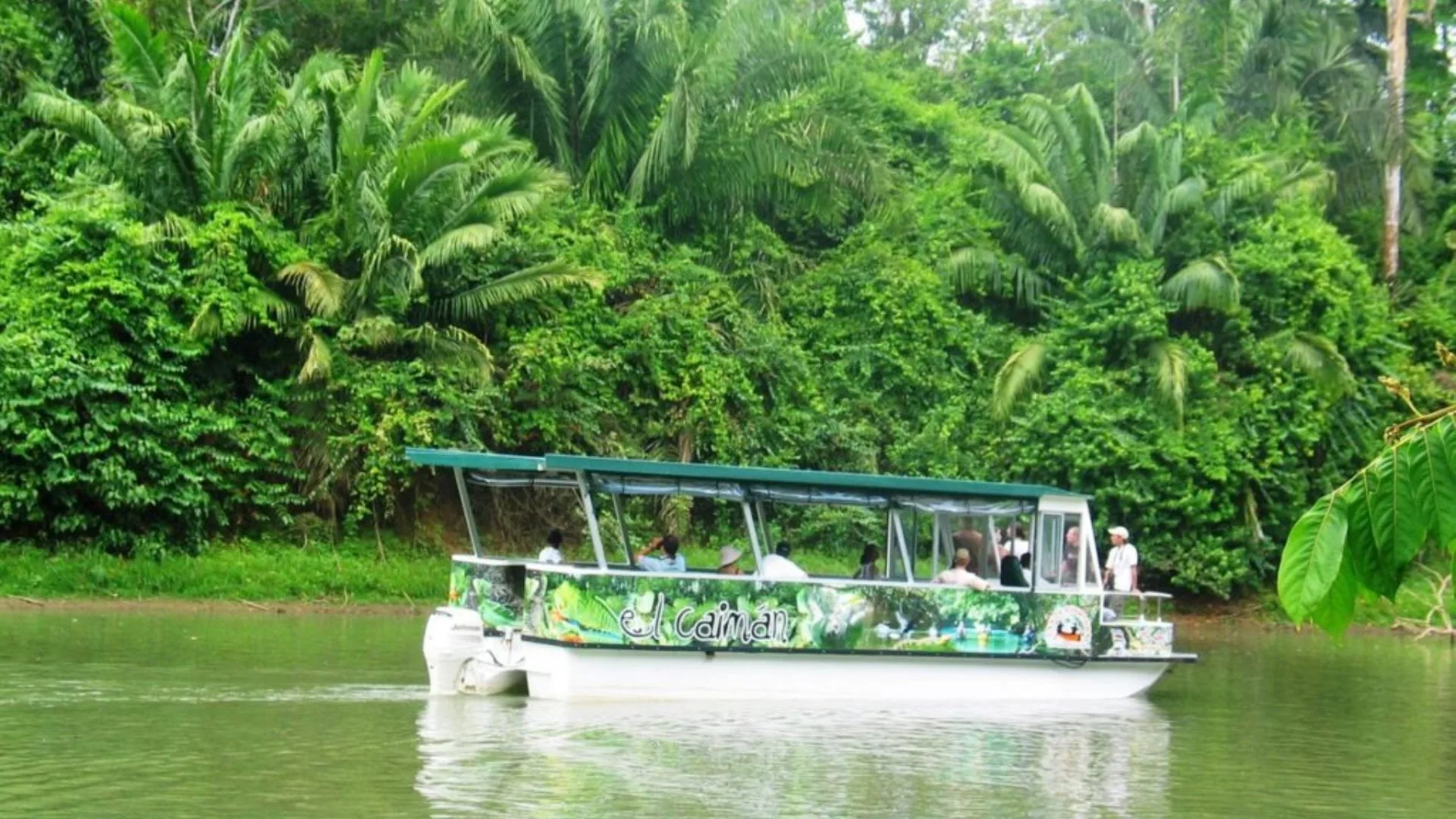 Caño Negro 6