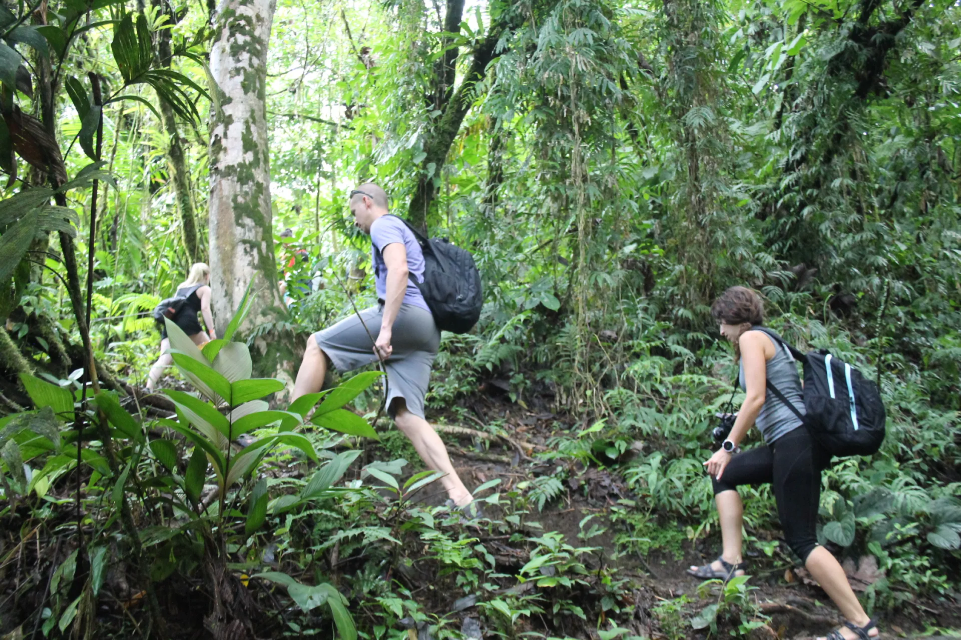 Arenal Lake View