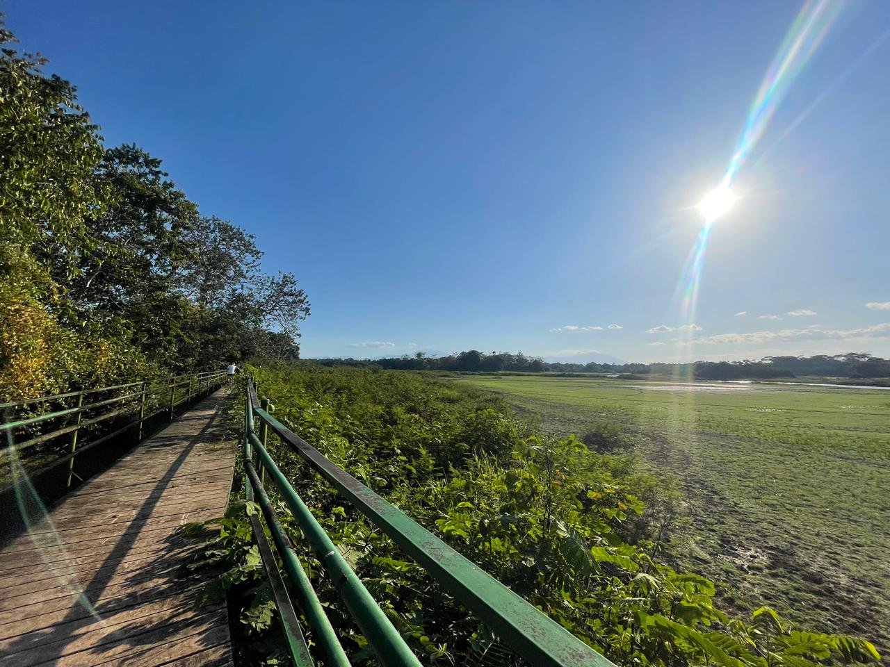 Caño Negro 2