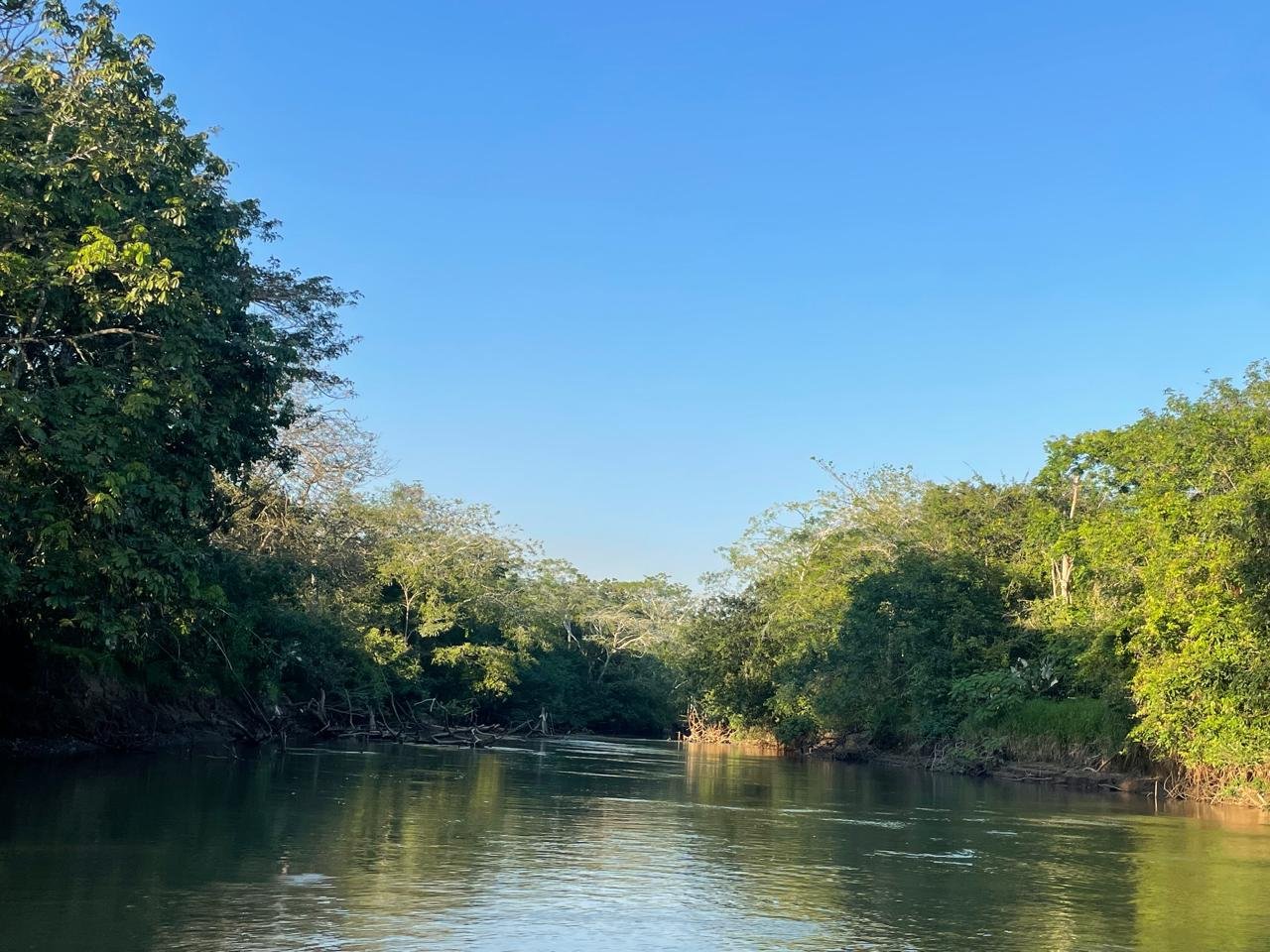 Caño Negro 3