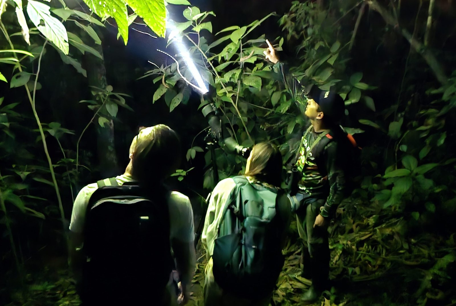 La Fortuna Combo Tour with Tabacón
